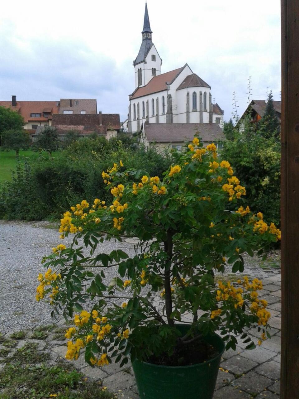 Ferienhaus Keller Lippertsreute Екстер'єр фото